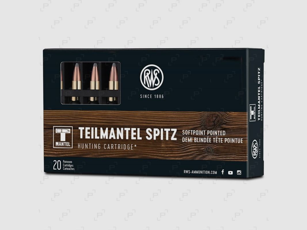 Box mit 20 Patronen für Großwildgeschosse RWS TEILMANTEL Kaliber .22 HORNET - 46 GR