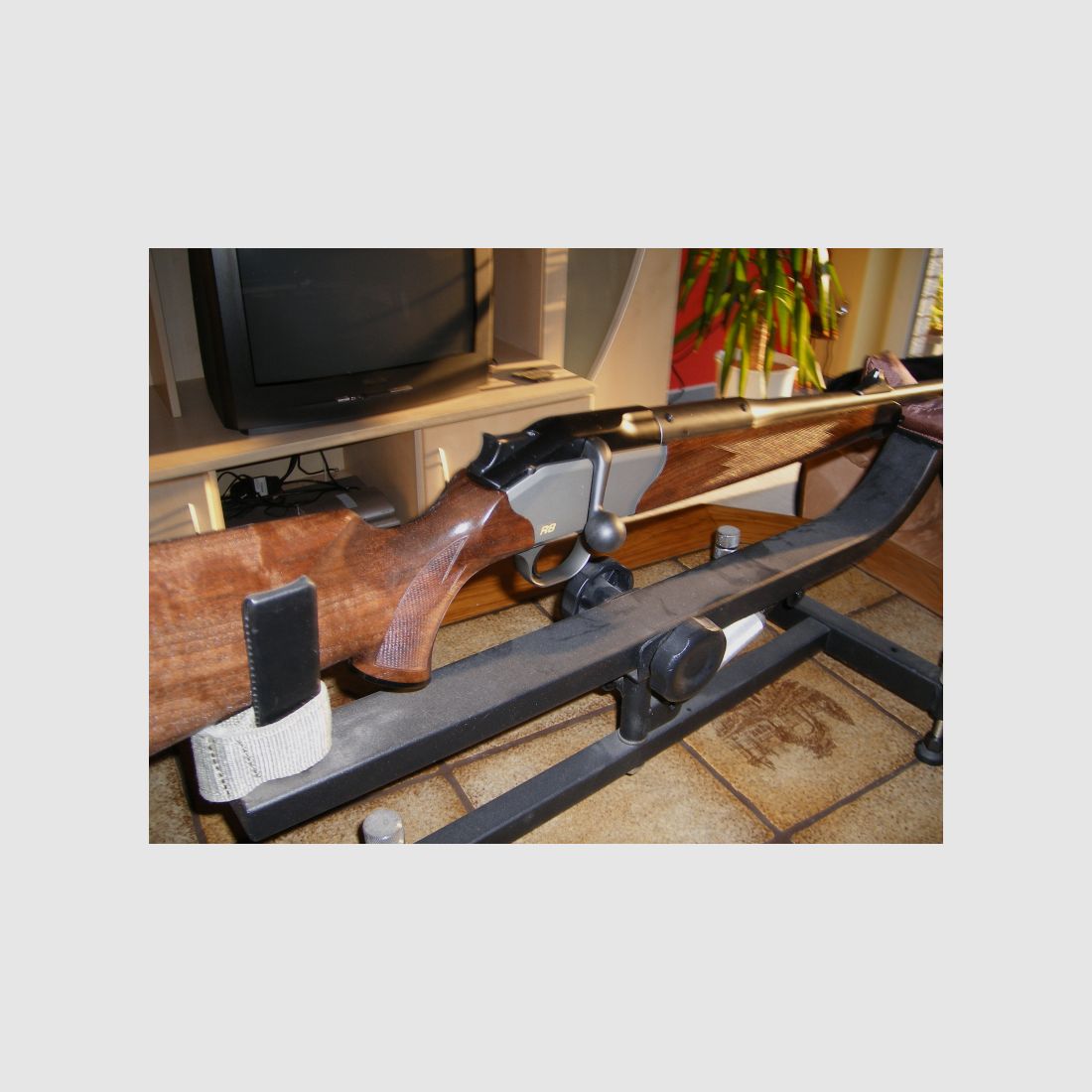 Blaser R8 Holz Kal. 9,3 x 62