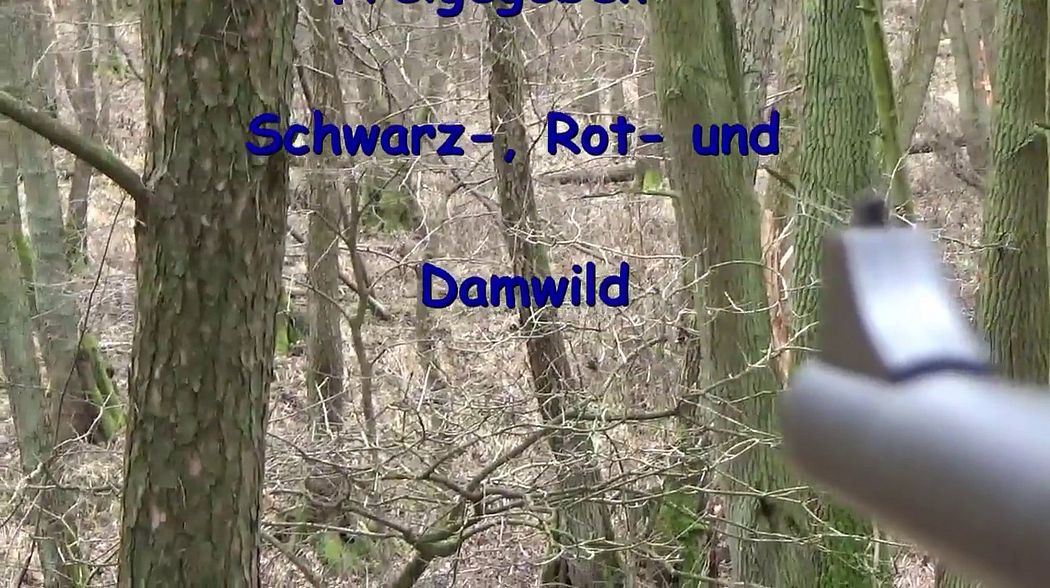 Treibjagd; DJ im Nationalpark Dez. 2017 Achtung Wild wird erlegt