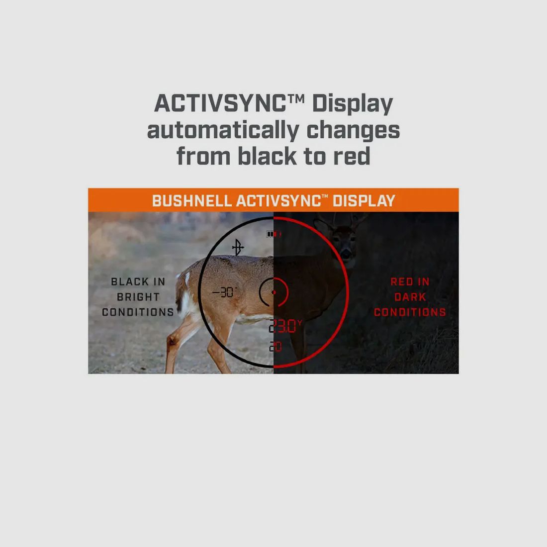 Bushnell Fusion X 10x42 LRF