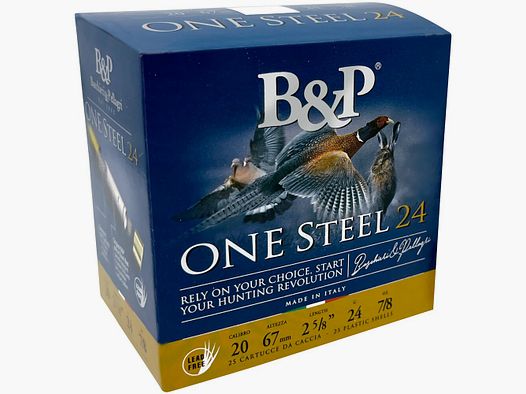 Baschieri & Pellagri 20/67 One Steel 3.1mm 24g.