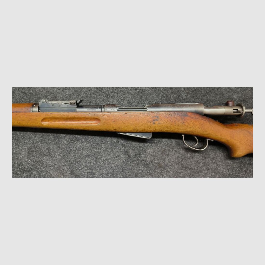 Schmidt Rubin G11