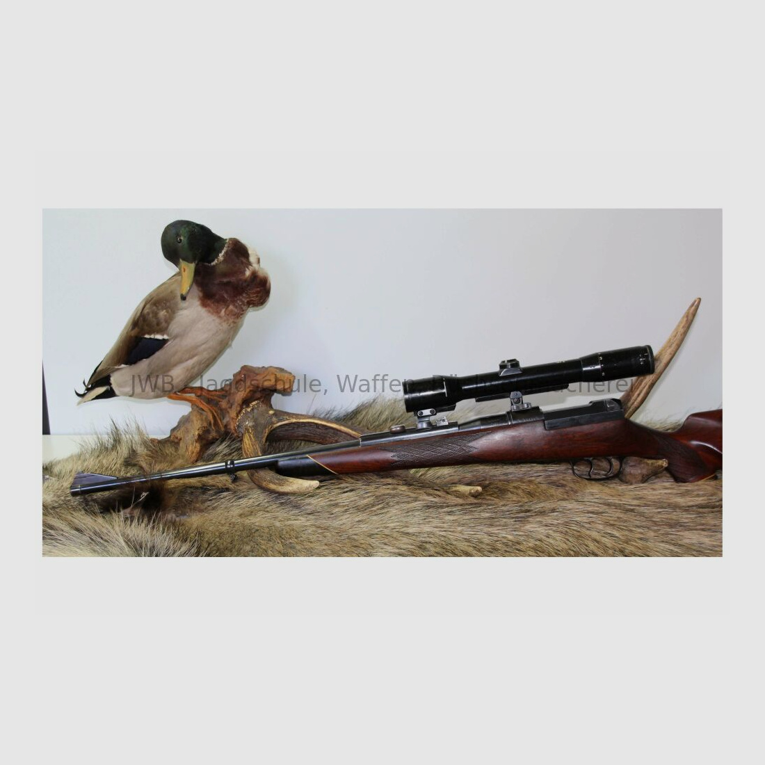 Mauser 66 with variable scope 7x64