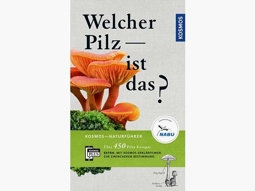 WELCHER PILZ IST DAS ? - 450 PILZE