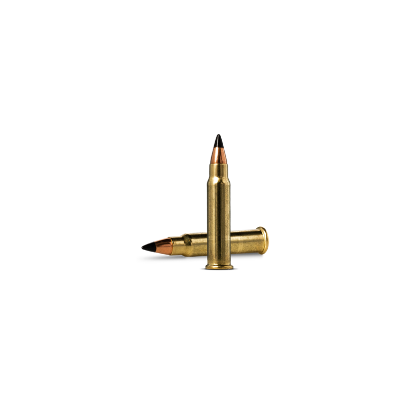 Caliber .17 HMR
