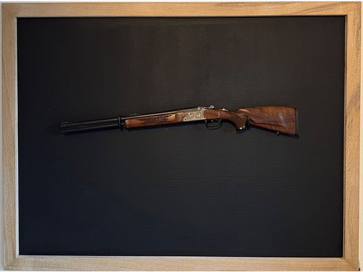 Blaser 95 BBF/Fucile da montagna cal. 12/76 e 270 Win. con canna inserto .22 Hornet
