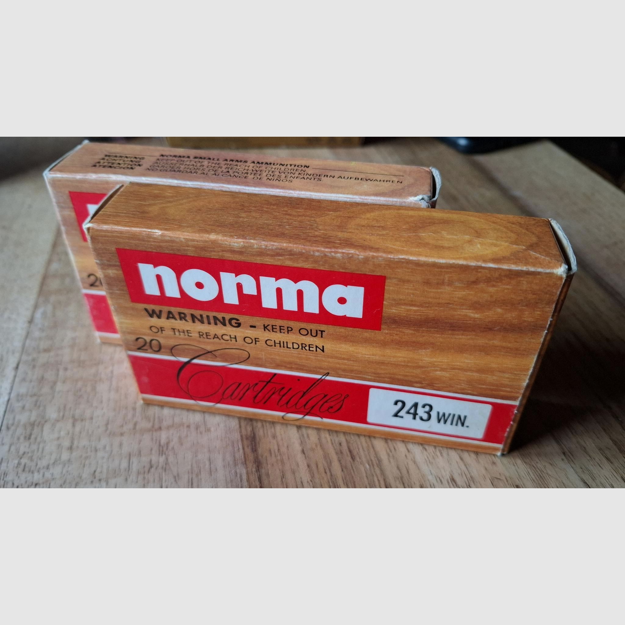 .243 Win - 36 Schuss Norma Soft point 100grains