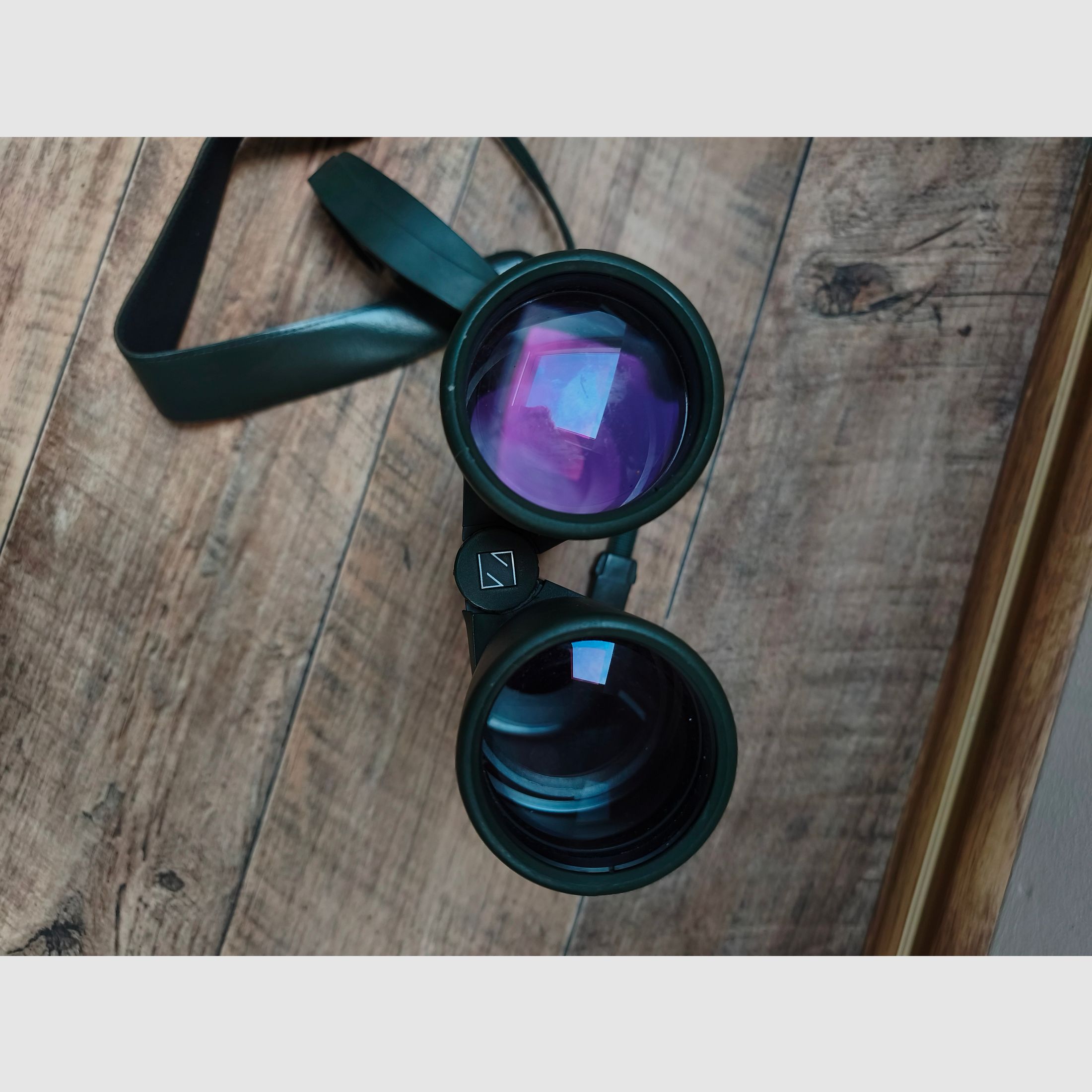 Purchase request: Zeiss binoculars 10x56 B T P