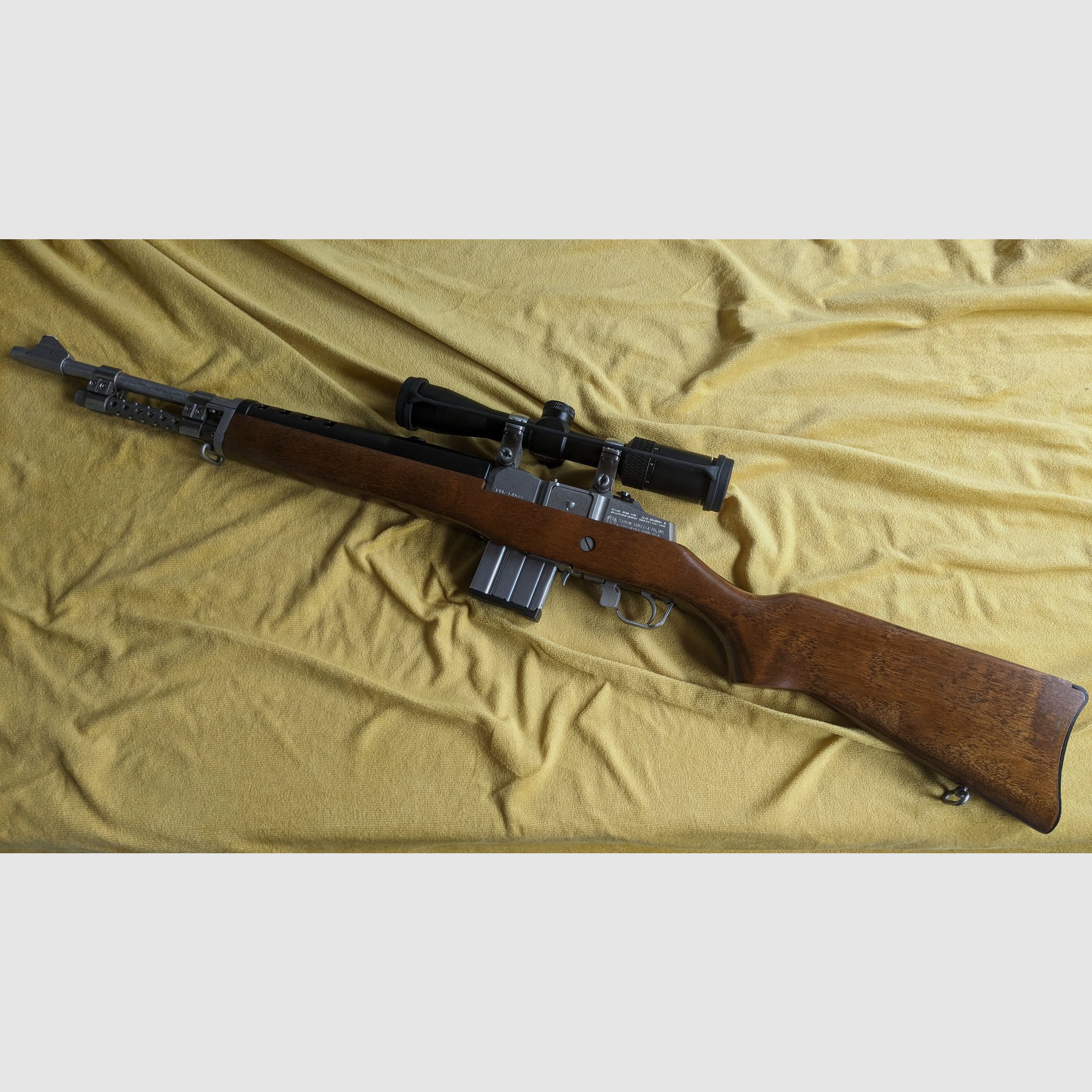 Ruger Mini 14 