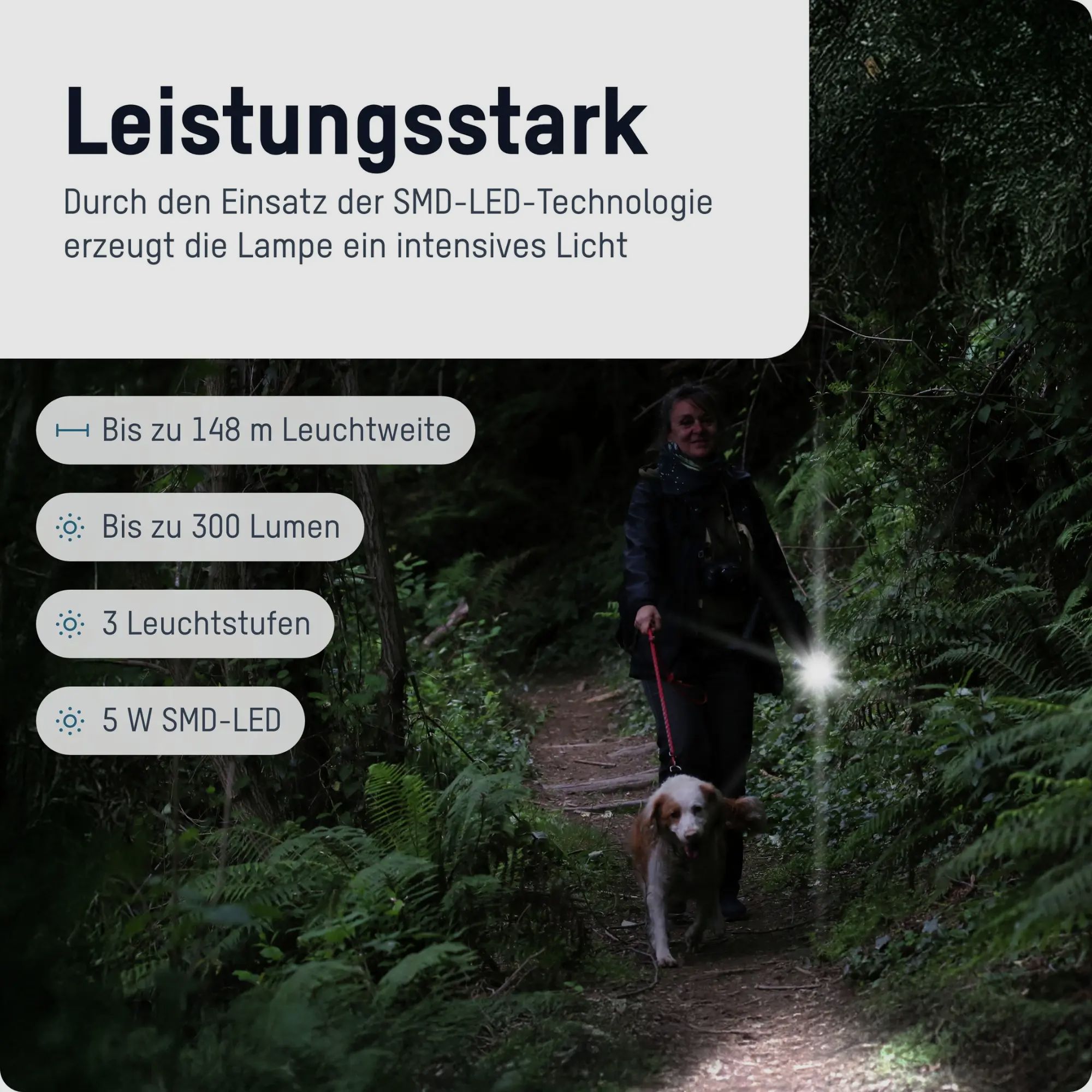 Ansmann Taschenlampe TA300BF