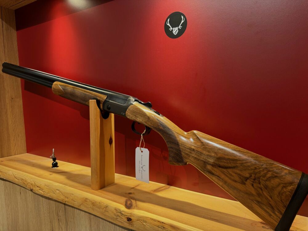Blaser F16 Game
