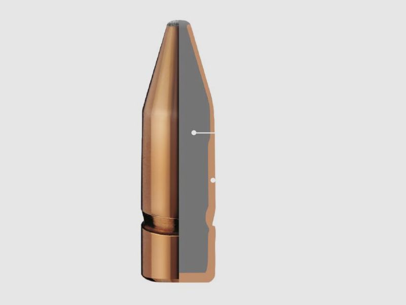RWS RUAG	 RWS 7x64 KS 8,0g 123 gr
