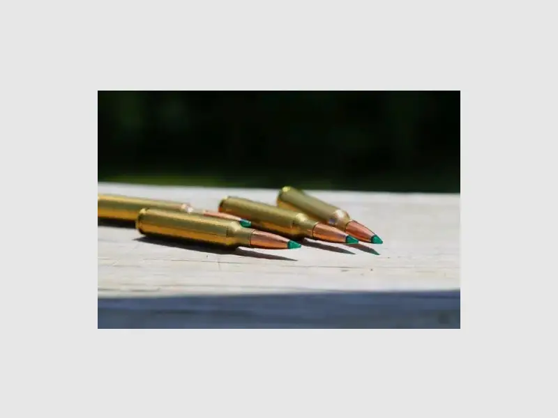 Jagdgeschosse .30 cal (.308) 180grs TGK Gamechanger #4680, billede 2 af 3