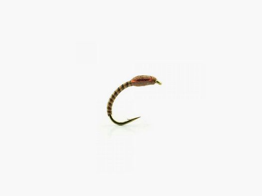 Mosca Devaux Chironome LCH 31 Amo N°14