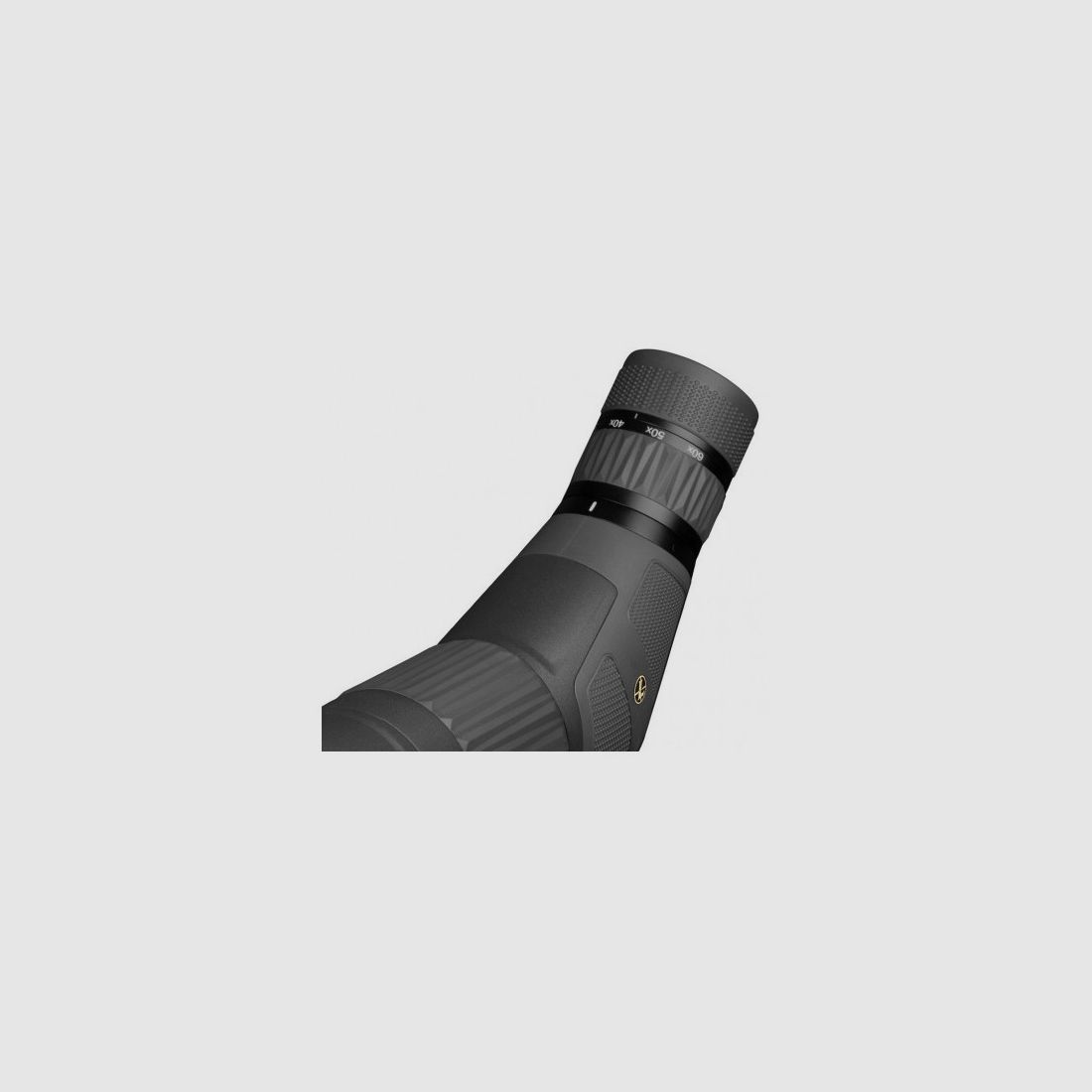 LEUPOLD SX-4 Pro Guide HD 20-60x85, imagen 2 de 6