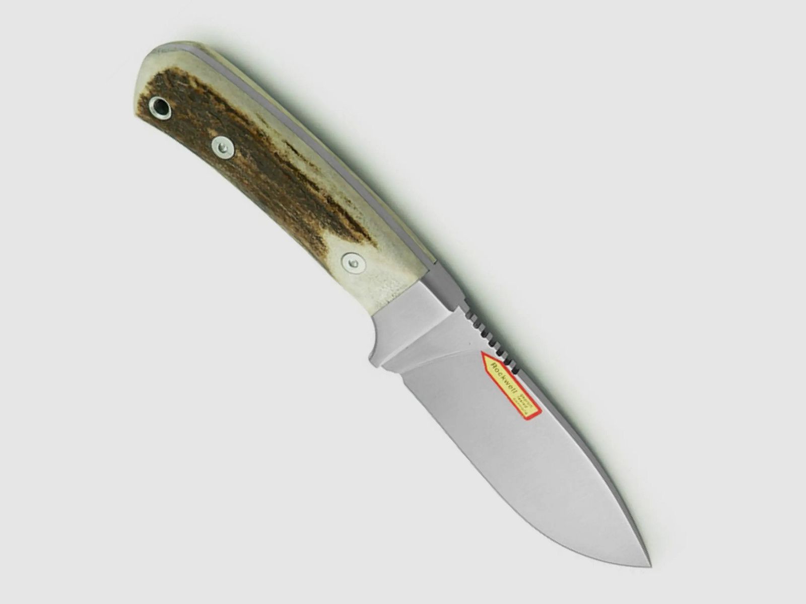 PUMA IP cervato, cervo