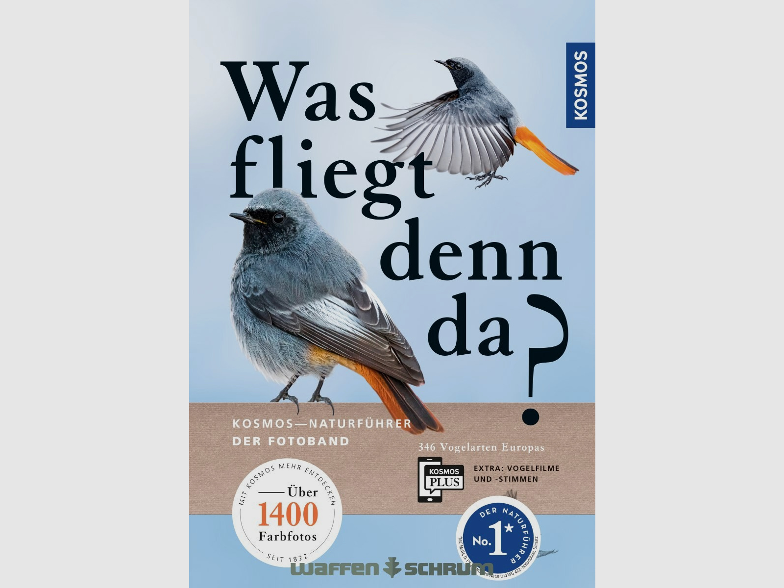 Kosmos Was fliegt denn da? Singer