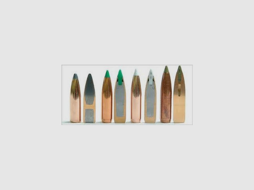 NOSLER B TIP GESCHOSSE C30 GR 168 QT50, Bild 2 von 4