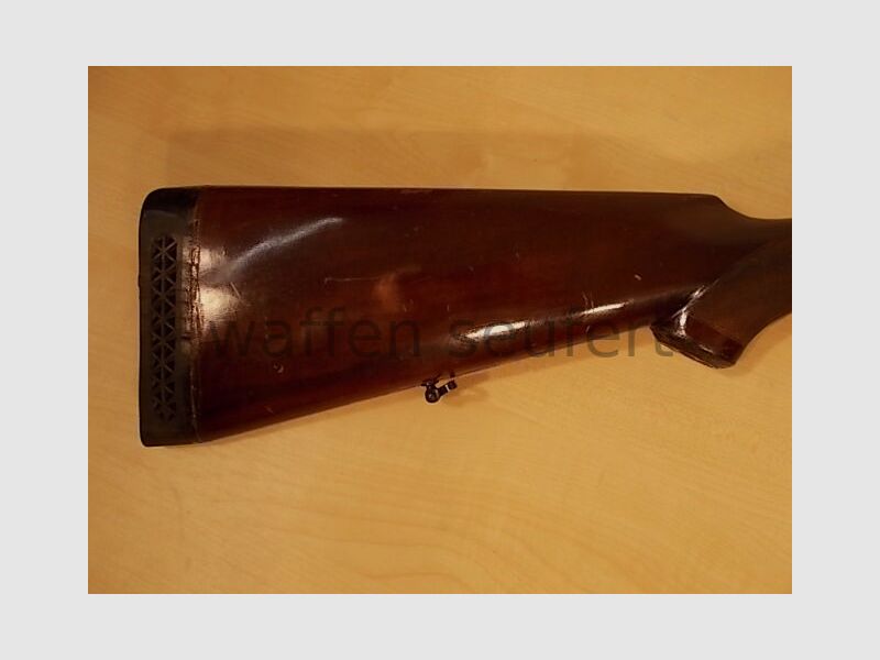 Forest double-barreled shotgun colored and engraved