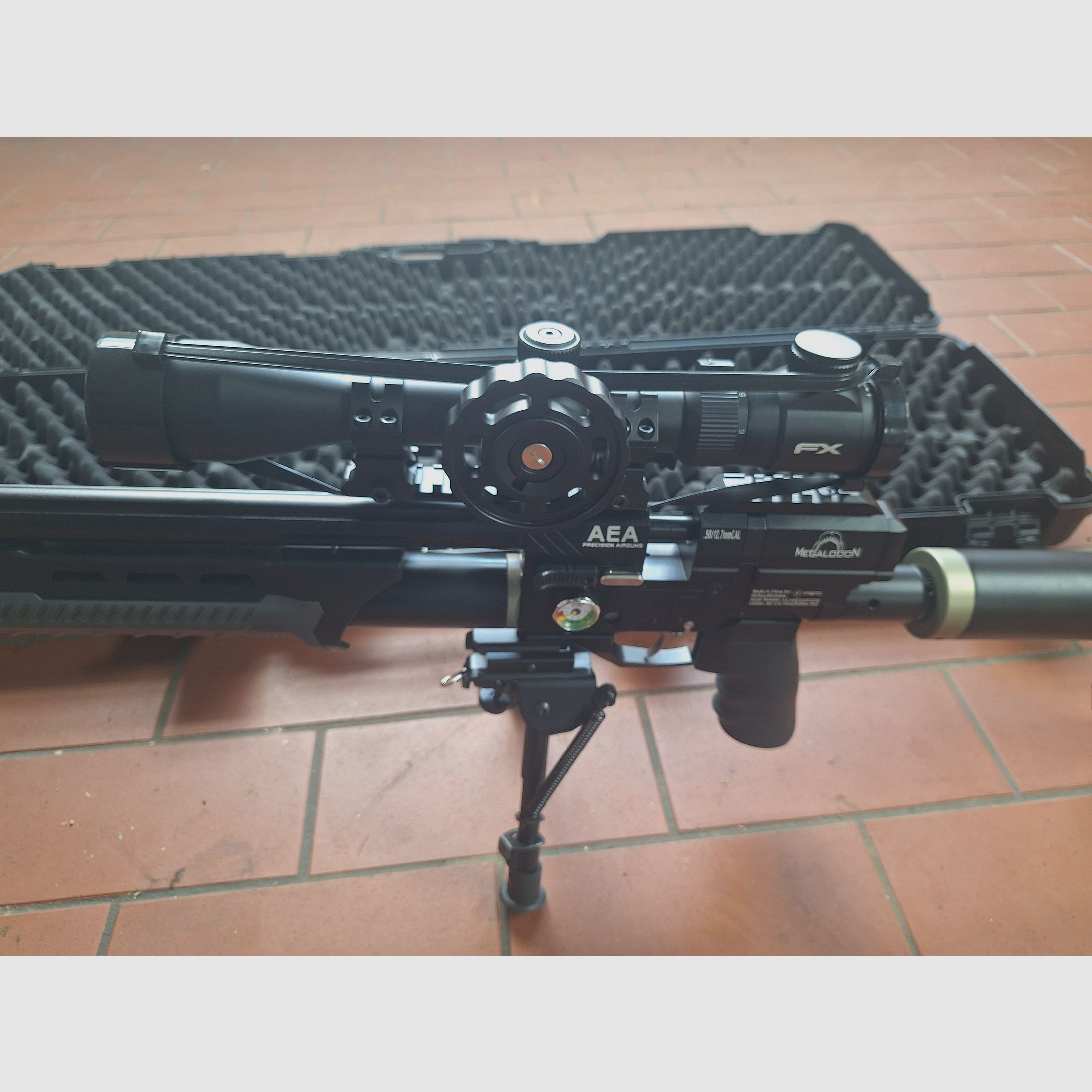 <Aea Megalodon