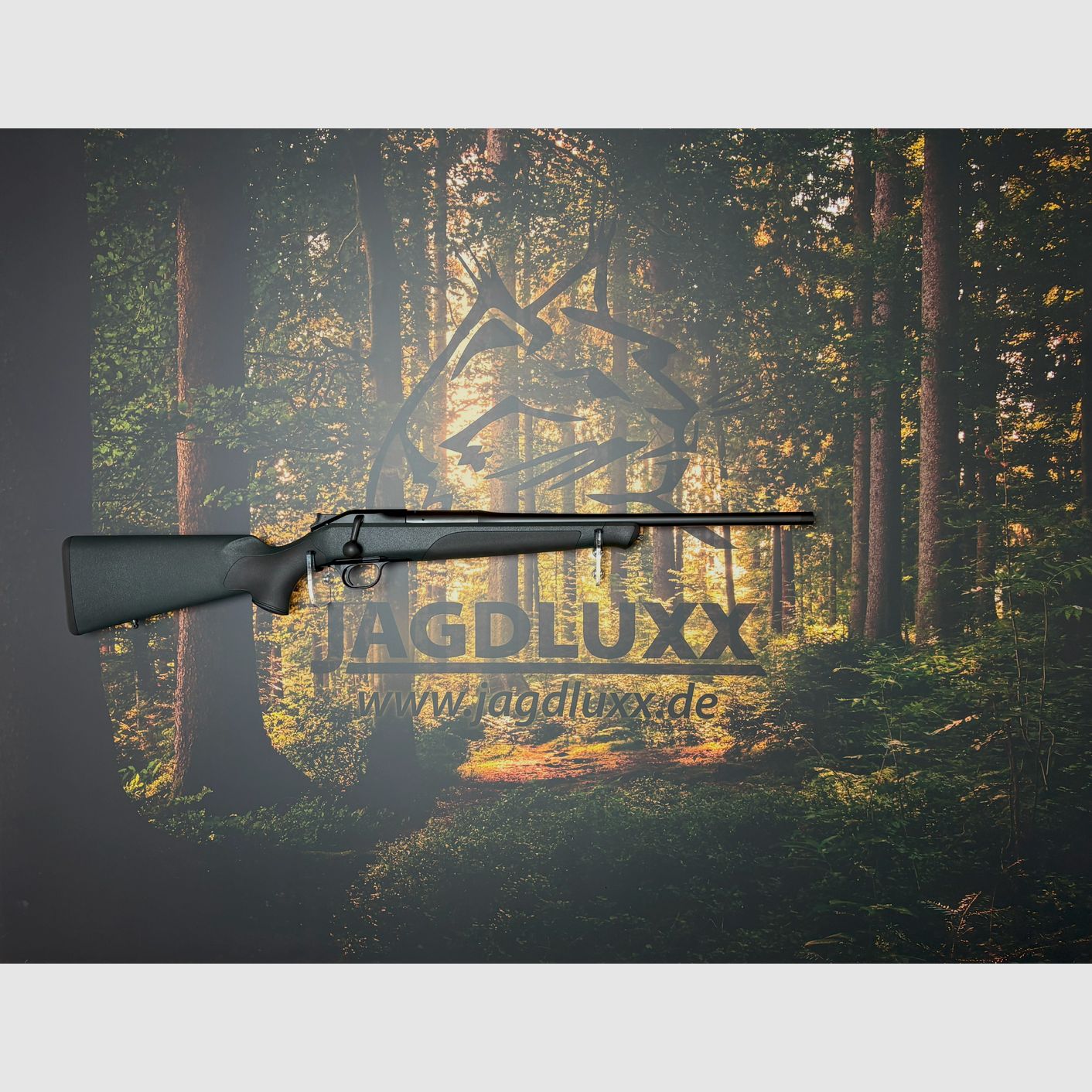 Blaser R8 Professional 308Win. mit 52 cm Lauflnge