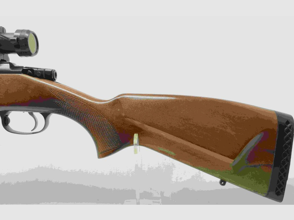 ZBROJOVKA BRNO CZ 550