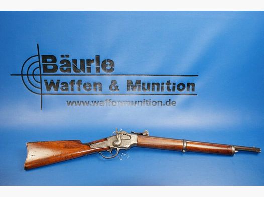 E.G. Lamson & Co. Carabina a pallini .50 (Proiettile)