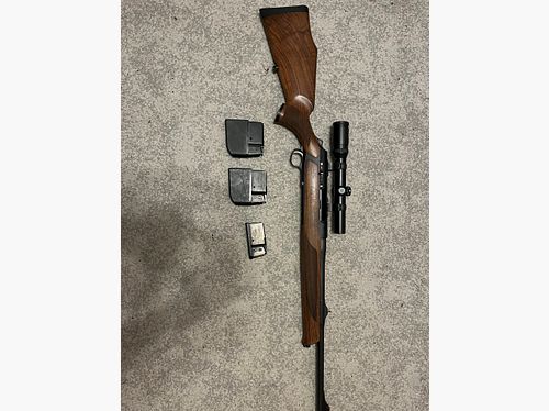 Sauer 303 
