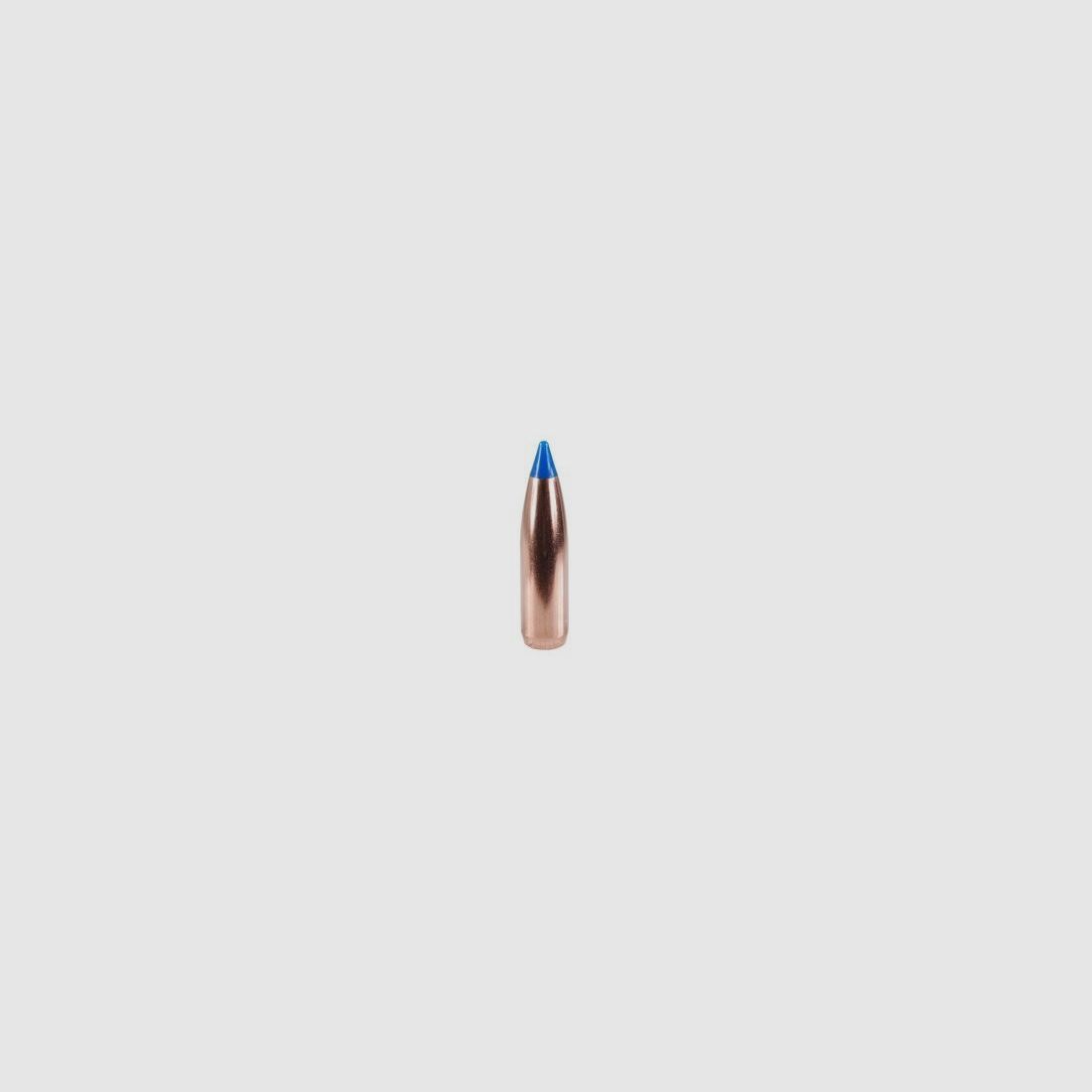 Bullets .25-100-Spitzer Nosler Ballistic Tip