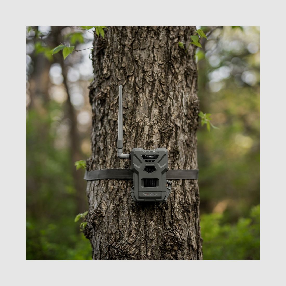 Fototrappola Spypoint FLEX-M, immagine 3 di 3