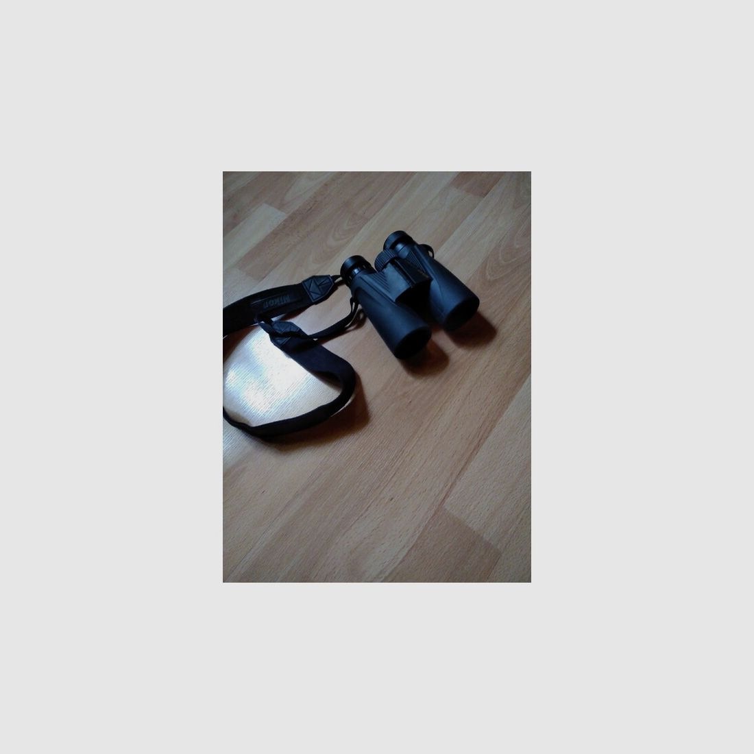 Fernglas Nikon 10 x 42