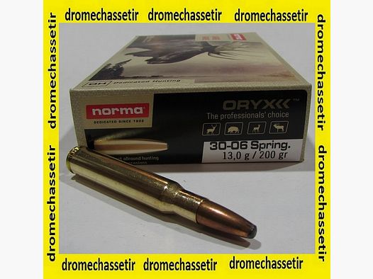 boite 20 cartouches cal 30-06 norma oryx 200 grains