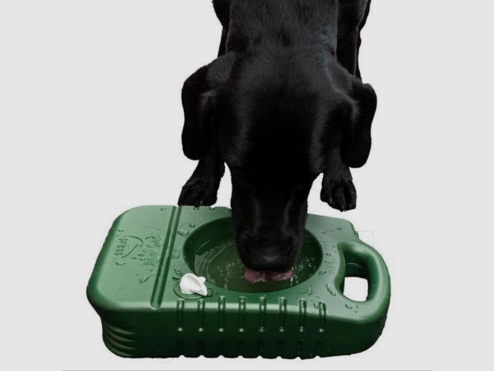 Cuenco portátil Cuenco de viaje & Botella de agua para perros 4 litros