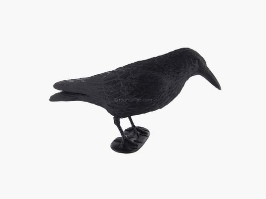 FORME APPELANT CORBEAU SUR PATTES