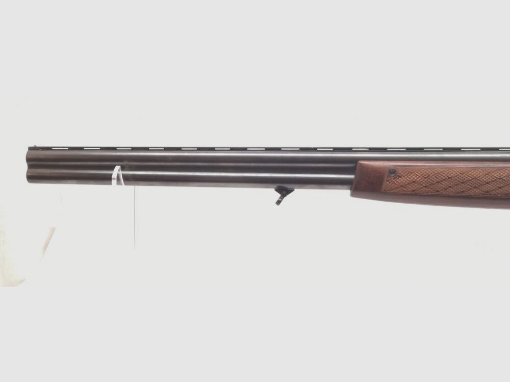 Brünner Waffenwerke ZH301