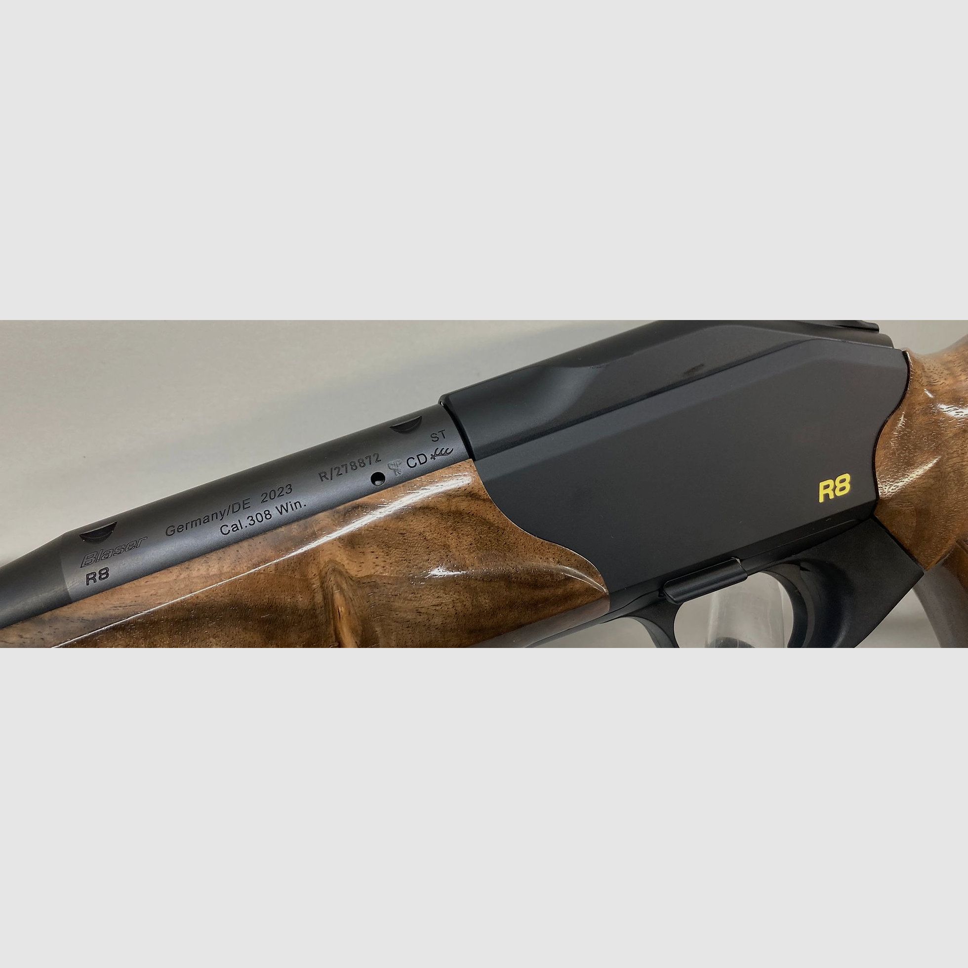 Blaser R8 Success
