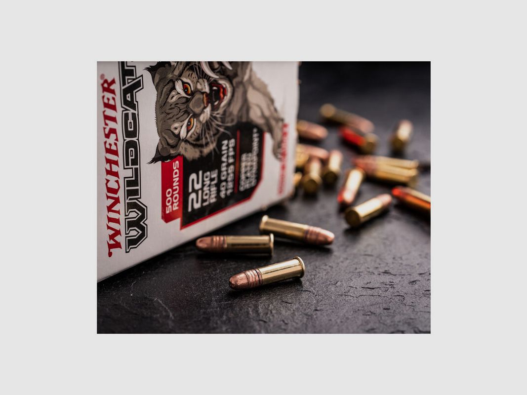 Winchester Wildcat Dynapoint 40gr - 500pz