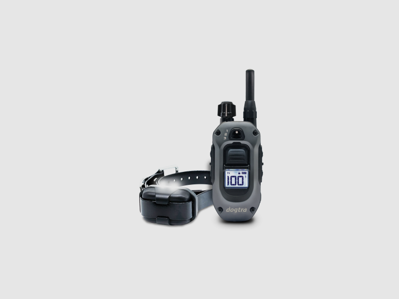 IQ Plus, image 6 of 7