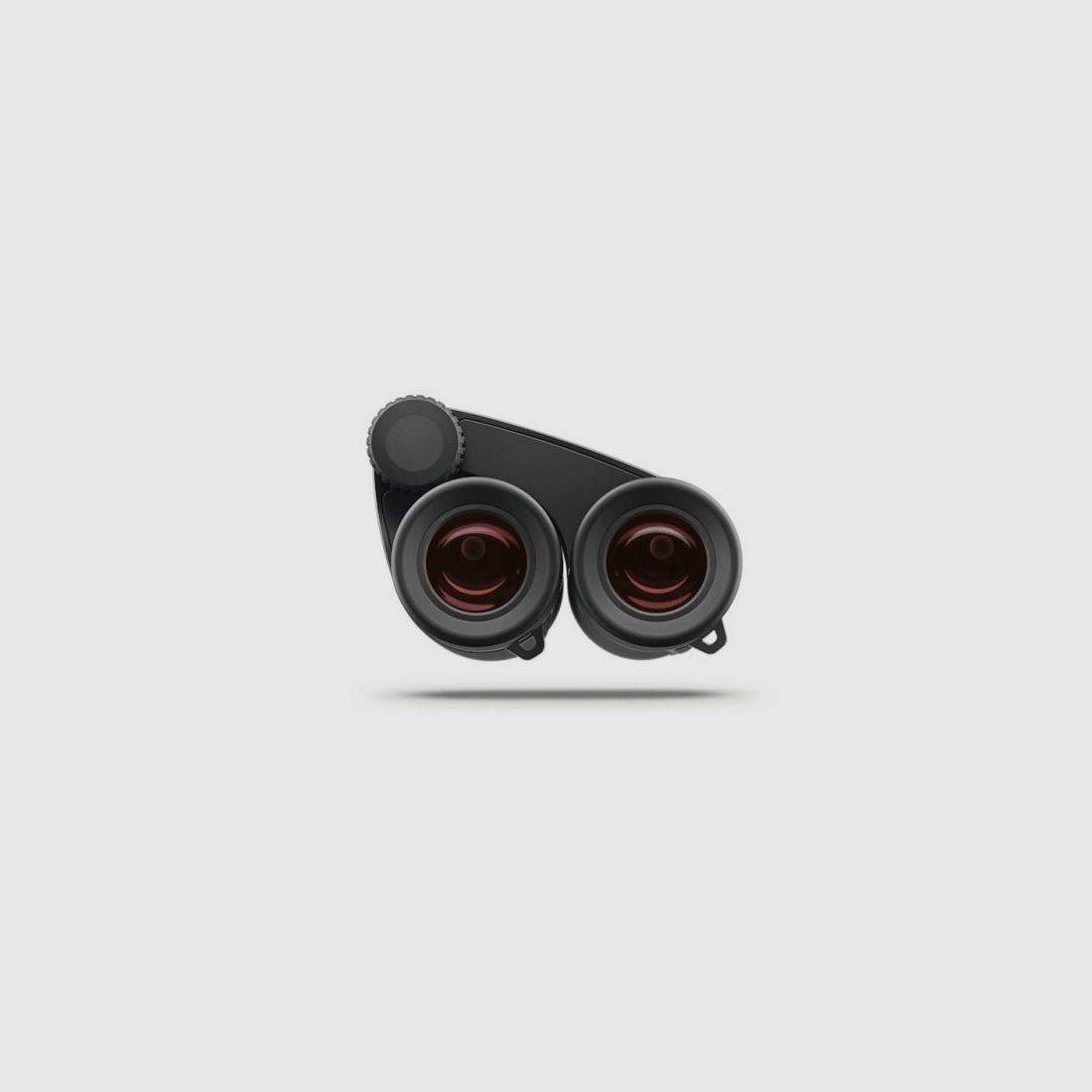 ZEISS Victory Pocket 8x25 binoculars with case