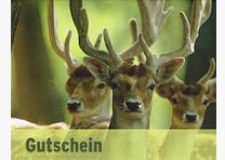 Gutschein Waffen Wiegand per Versand