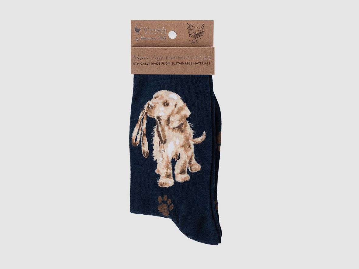 Wrendale Socken "Hopeful" mit Hund