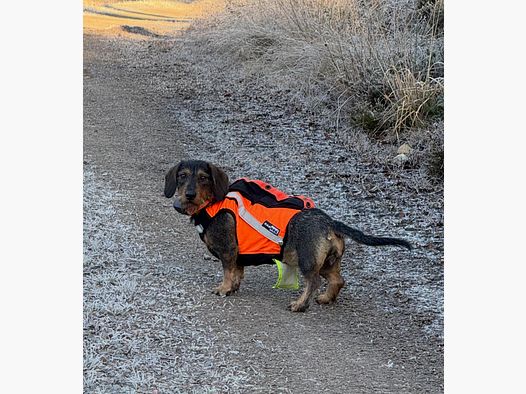 Sulo GPS- väst med hög synlighet DH4