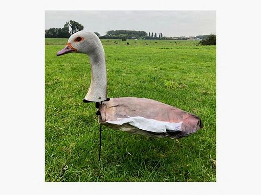 Windecoy Nilgans mit Kopf 10 Stk.