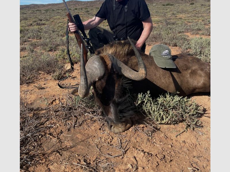 Jagen in Südafrika - Westkap Hammer Safaris