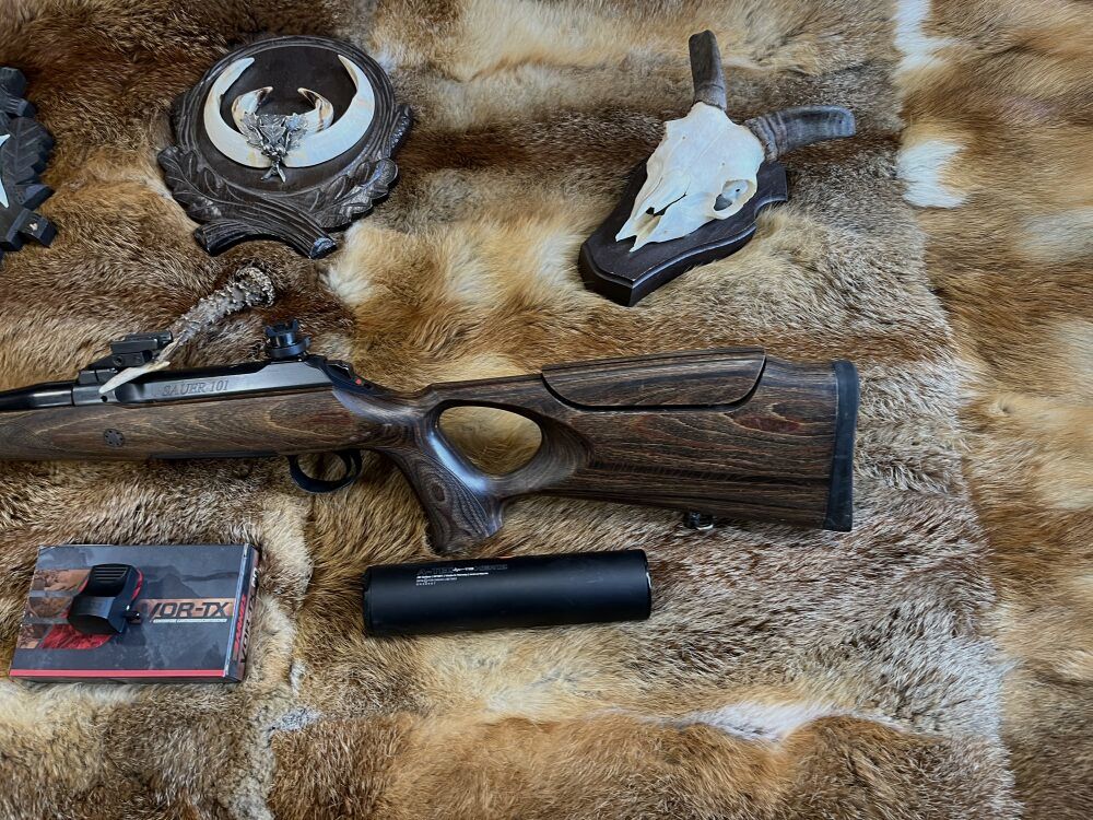 Sauer & Sohn 101 GTI