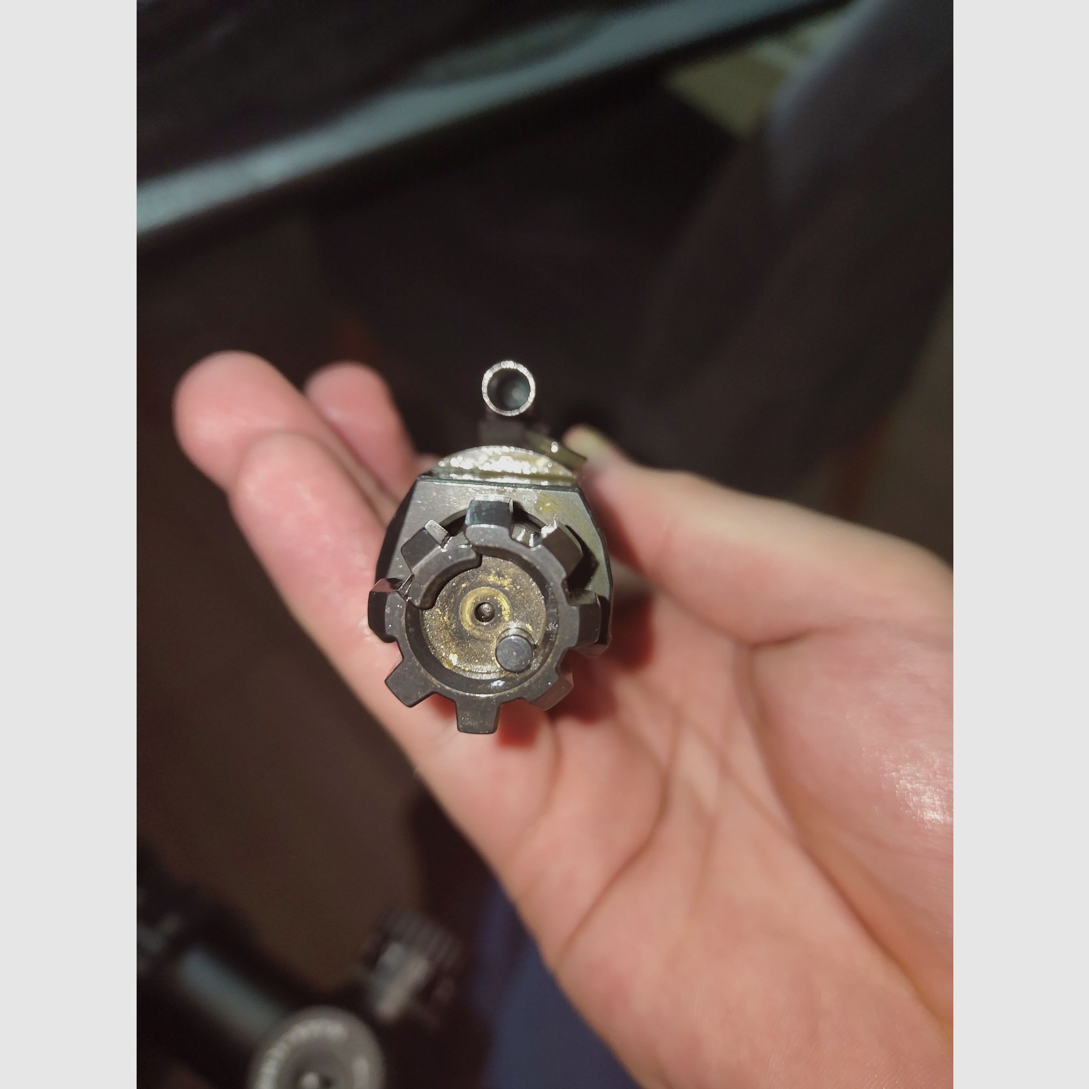 DAR 10, Präzisionshalbautomat in .308Win