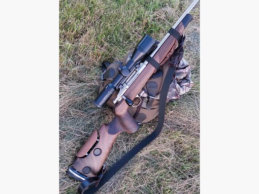 Odenwaldschaft pour Steel Action HS