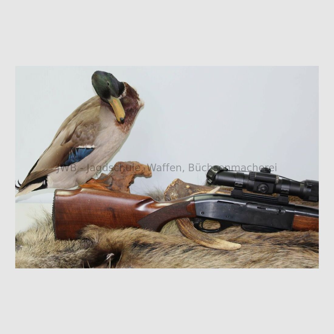 Remington Mod. 750 Halbautomat - Damenwaffe .308Win