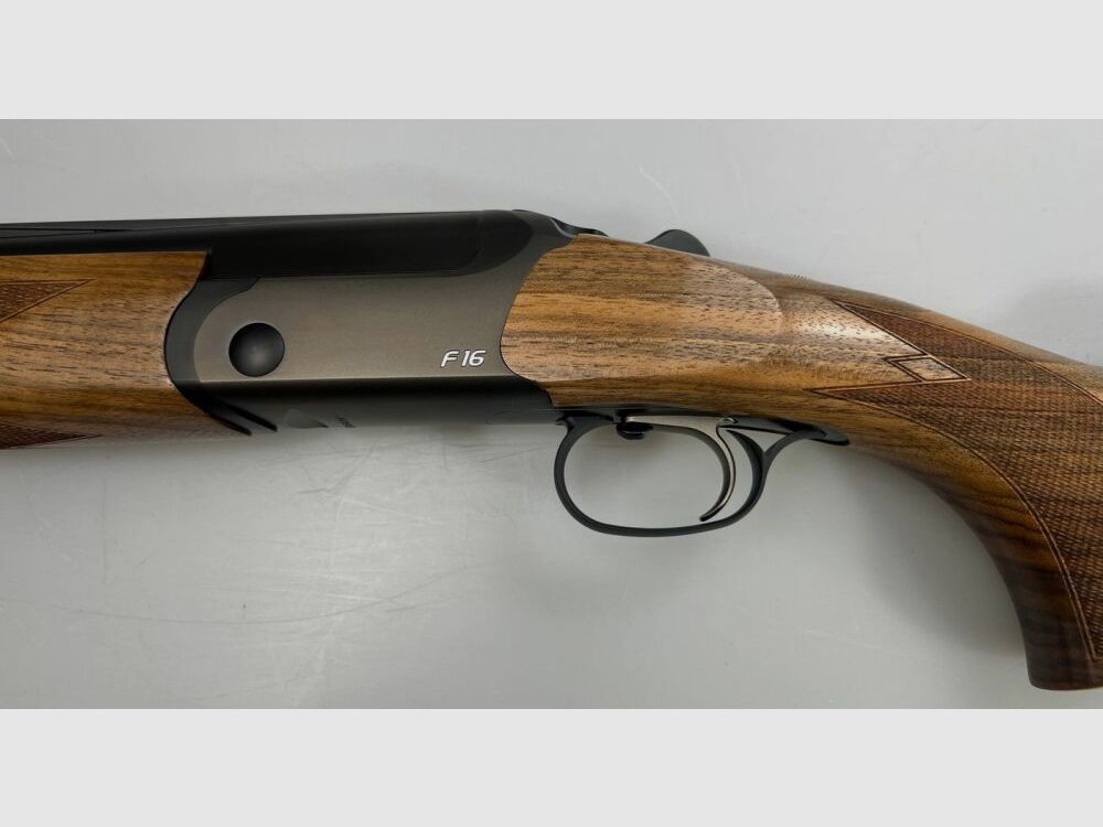 Blaser F16 Game