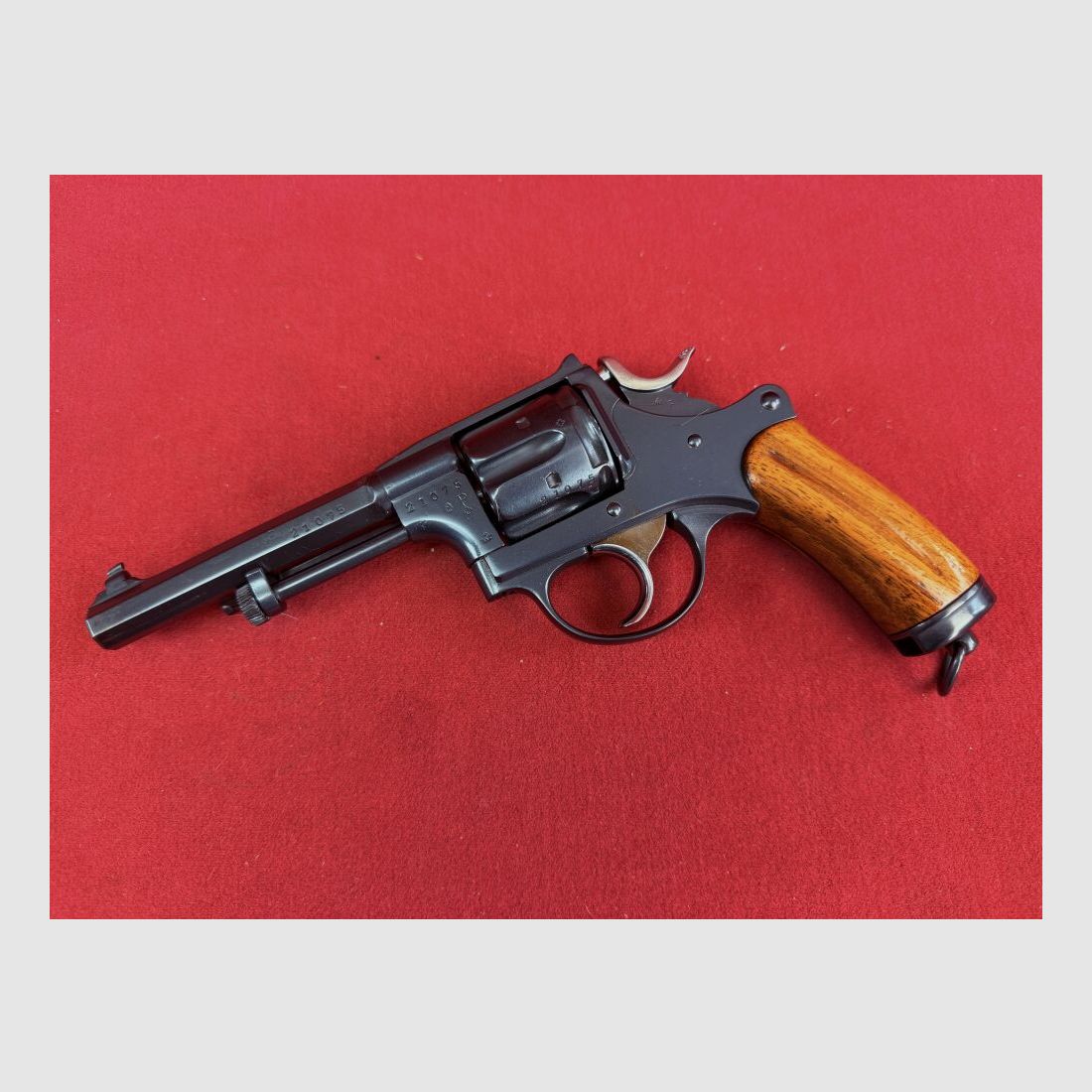 Fabbrica di armi Bern M82 (1882)